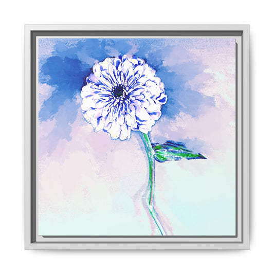 Zinnia Color Splash Matte Canvas Blue Framed