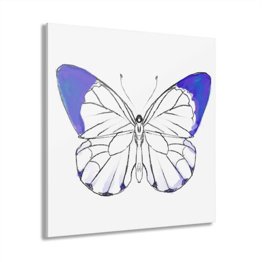 Chroma Acrylic Prints (French Cleat Hanging) navy