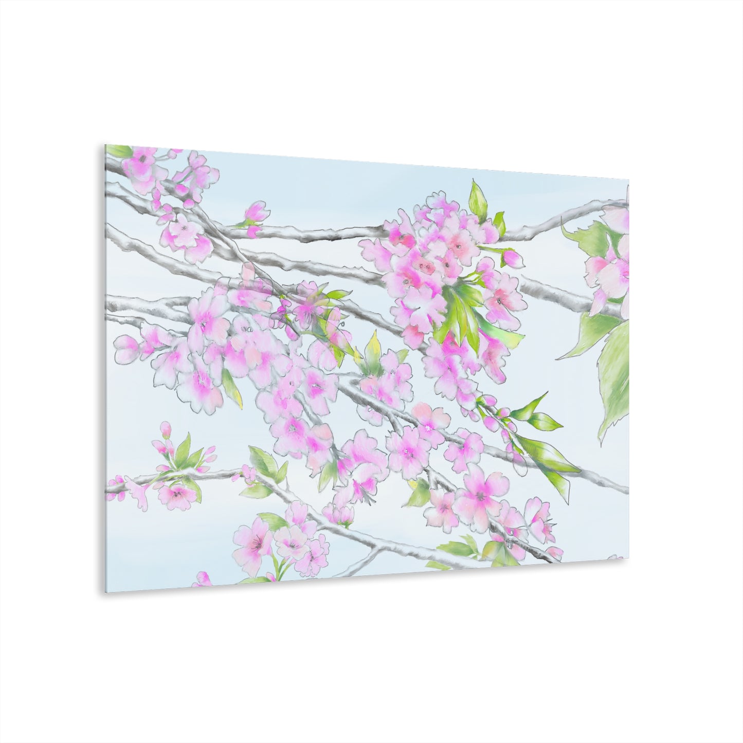 Cherry Blossoms -  Acrylic Prints (French Cleat Hanging)
