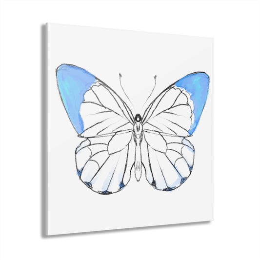 Chroma Acrylic Prints (French Cleat Hanging) light blue