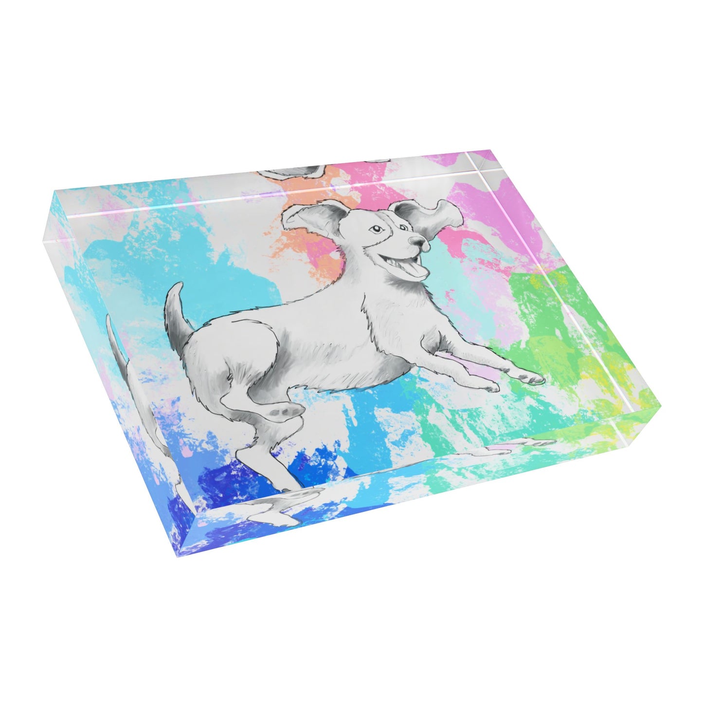 Dogi Fun Acrylic Block