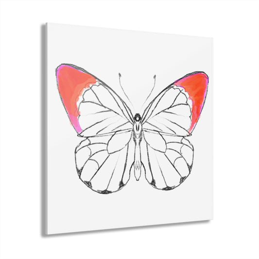 Chroma Acrylic Prints (French Cleat Hanging) red orange