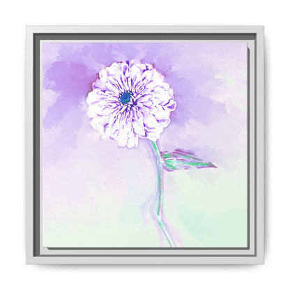 Zinnia Color Splash Matte Canvas Lilac Framed