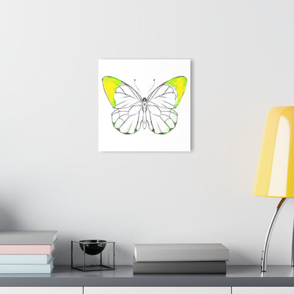 Chroma Acrylic Prints (French Cleat Hanging) lavender