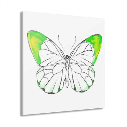 Chroma Acrylic Prints (French Cleat Hanging) lavender