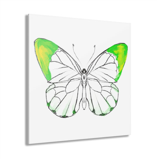Chroma Acrylic Prints (French Cleat Hanging) lavender