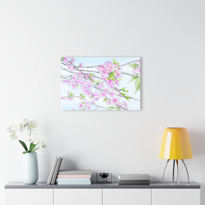 Cherry Blossoms -  Acrylic Prints (French Cleat Hanging)