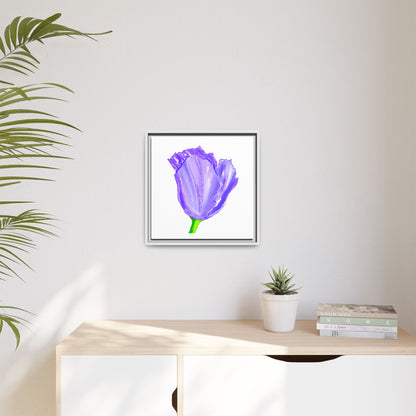 Dancing Tulips Matte Canvas, Framed (Multi-color) Purple