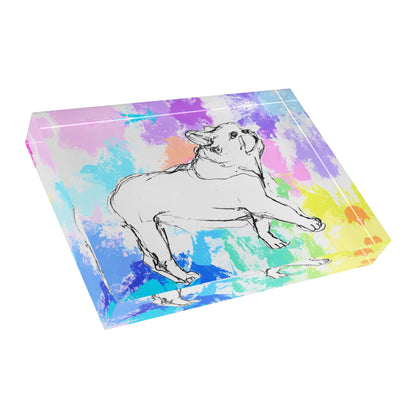 Dogi Fun Acrylic Block