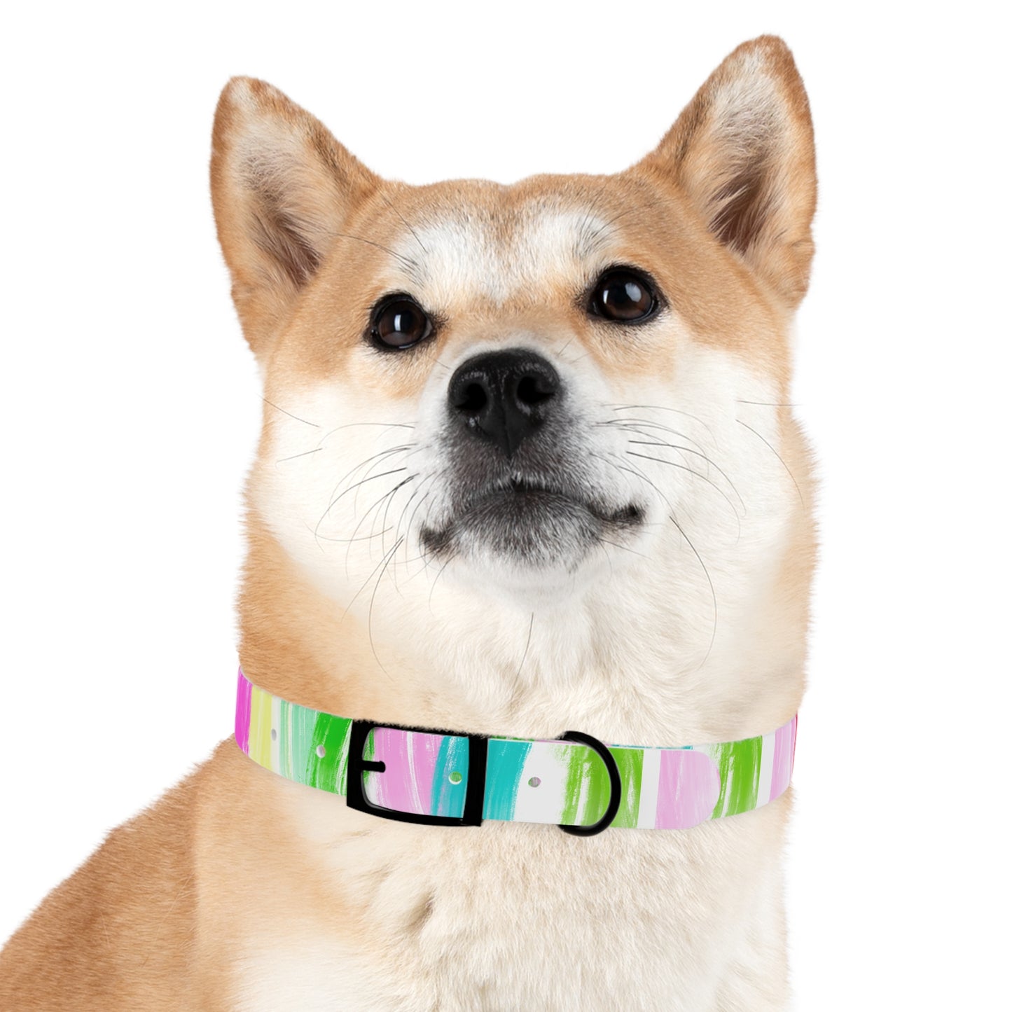 Dog Collars Watercolor Swoosh