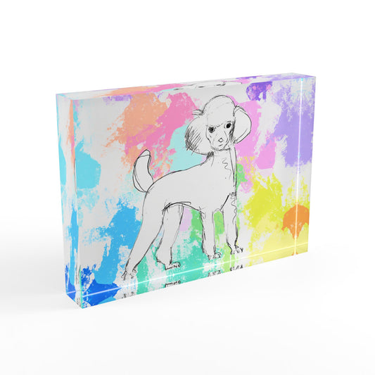 Dogi Fun Acrylic Block