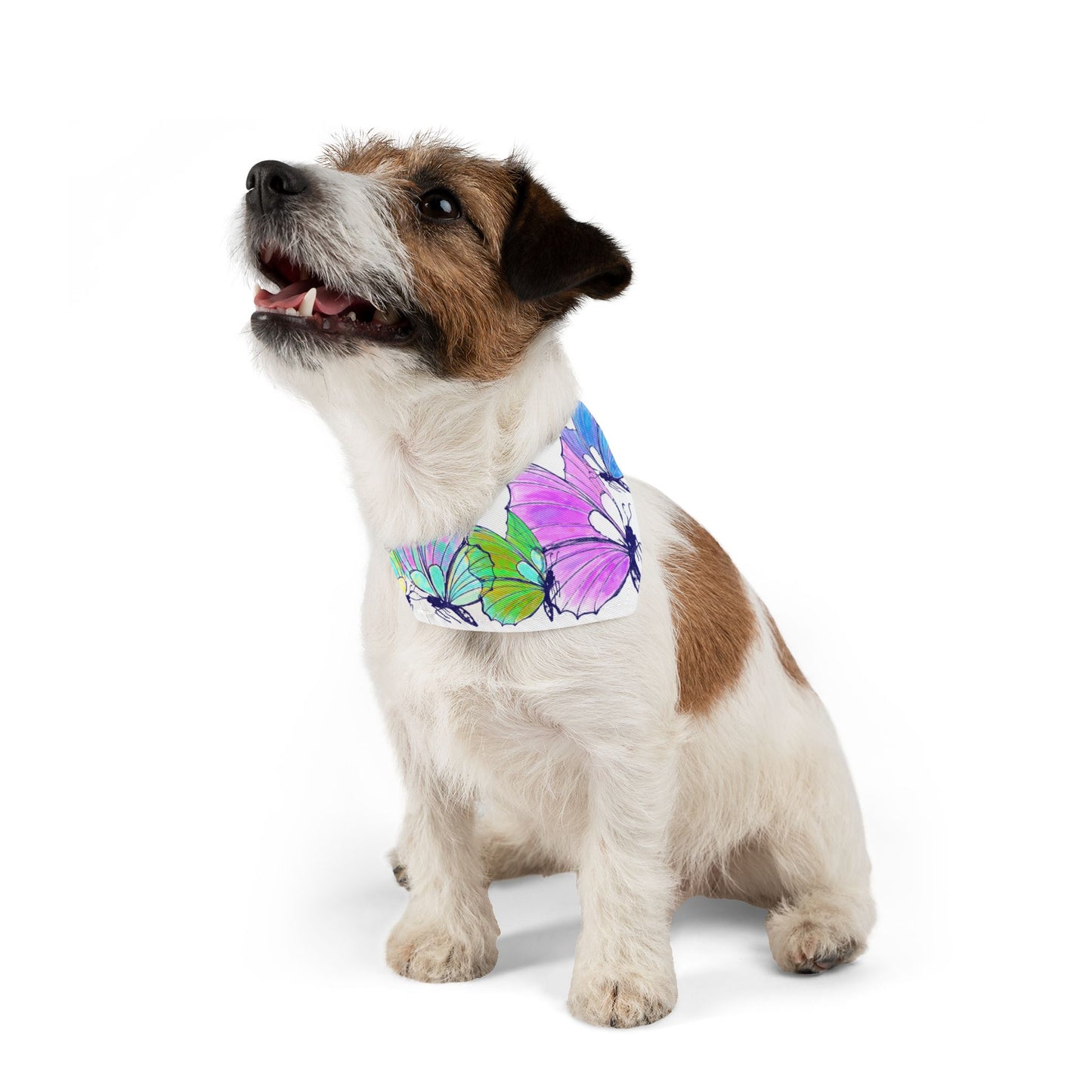 Pet Bandana Butterfly flutter