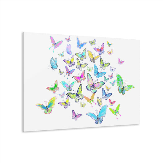 Jive Butterfly (Bottom panel B) Acrylic Prints (French Cleat Hanging)