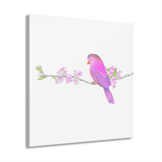 Jolly Birds Acrylic Prints (French Cleat Hanging) pink