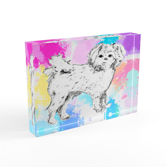 Dogi Fun Acrylic Block