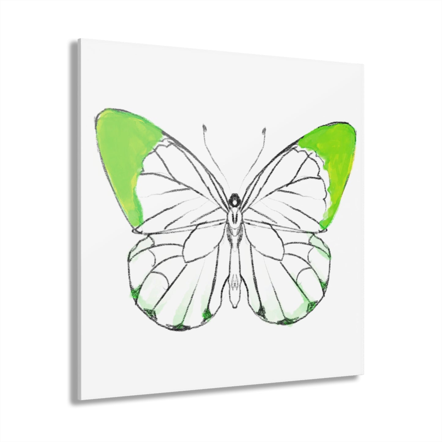 Chroma Acrylic Prints (French Cleat Hanging) green