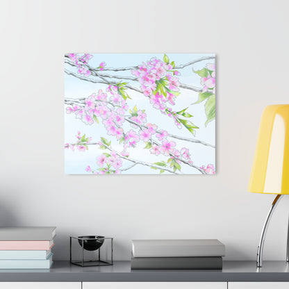 Cherry Blossoms -  Acrylic Prints (French Cleat Hanging)
