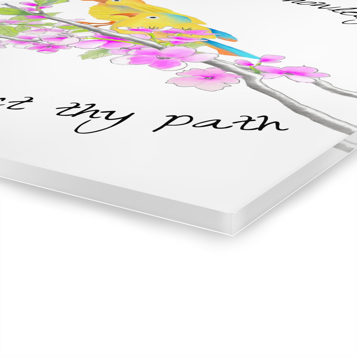 Acrylic Prints (French Cleat Hanging)