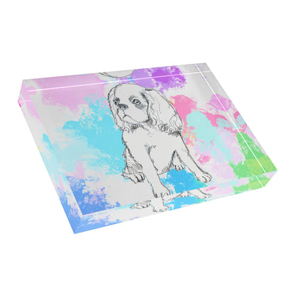Dogi Fun Acrylic Block