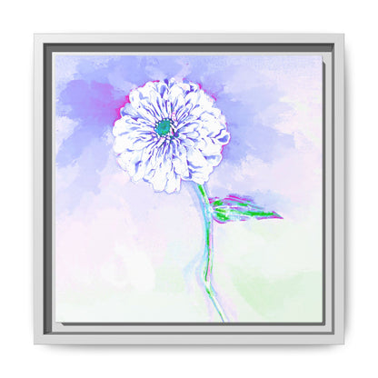 Zinnia Color Splash Matte Canvas Periwinkle Framed
