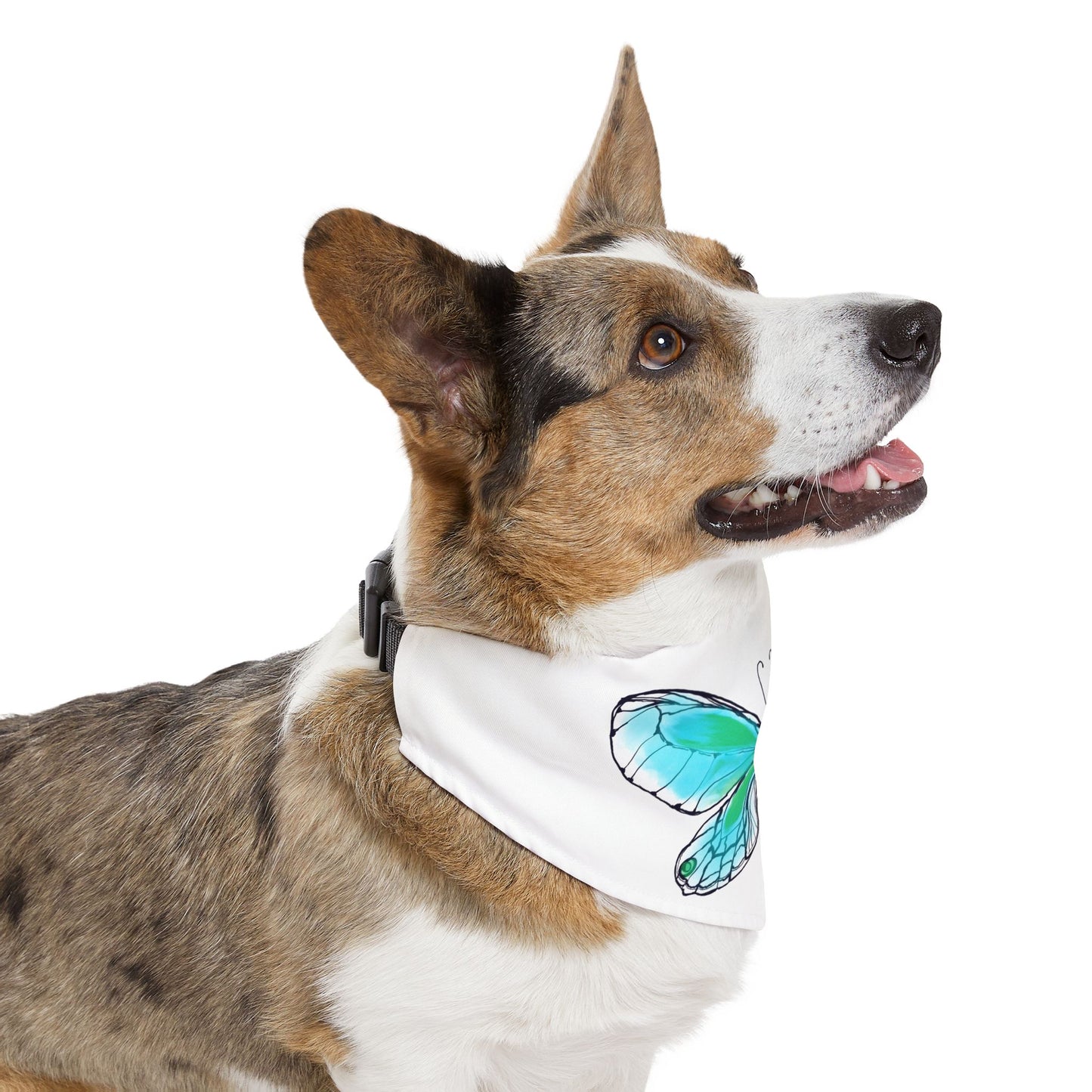 Pet Bandana Collar Colorful Flutter Charm