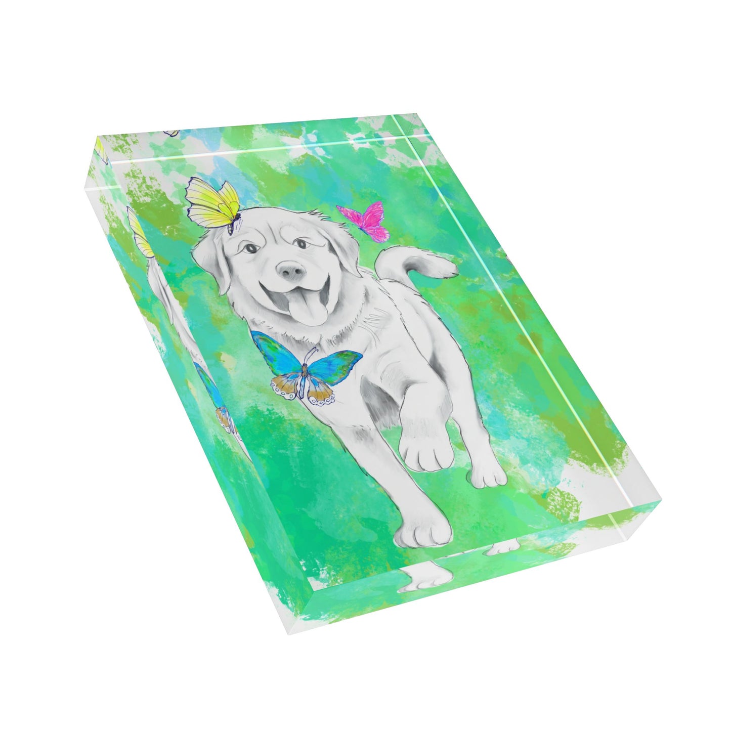 Dogi Flutter Acrylic Block