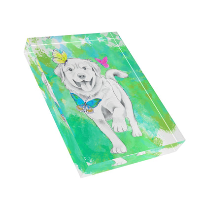 Dogi Flutter Acrylic Block