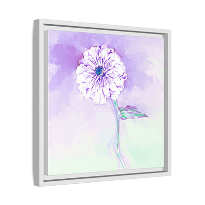 Zinnia Color Splash Matte Canvas Lilac Framed