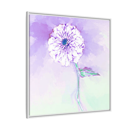 Zinnia Color Splash Matte Canvas Light Purple Framed