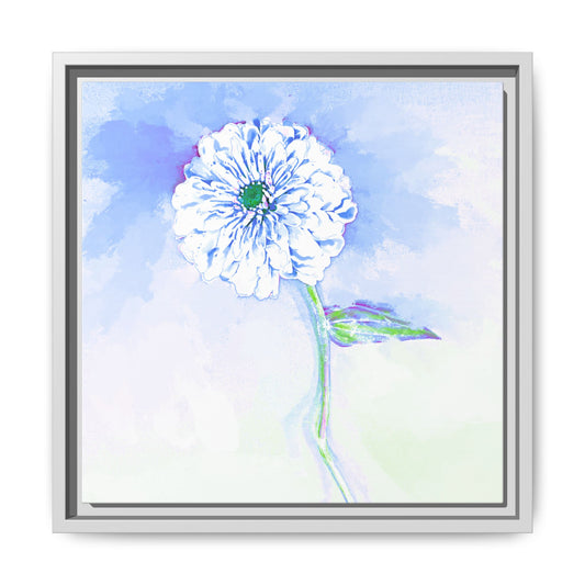 Zinnia Color Splash Matte Canvas Soft Blue Framed