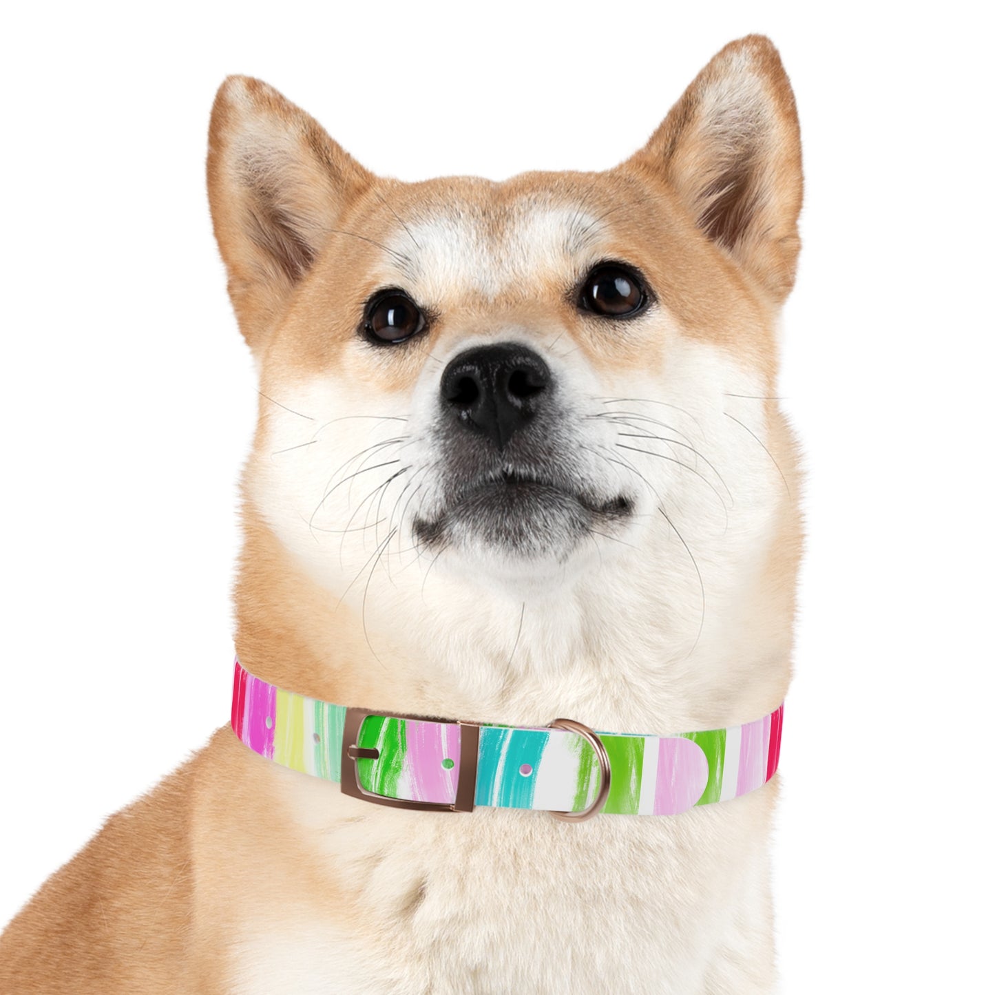 Dog Collars Watercolor Swoosh