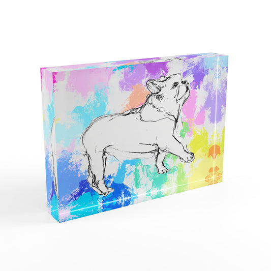 Dogi Fun Acrylic Block