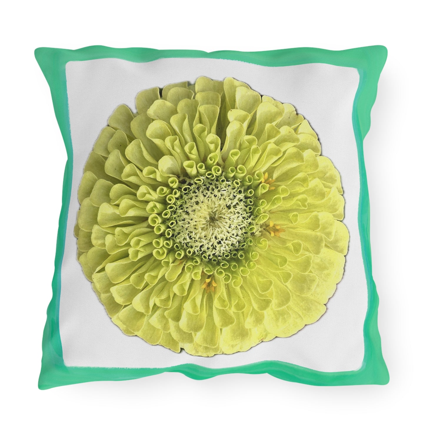 Zinnia Outdoor Pillows