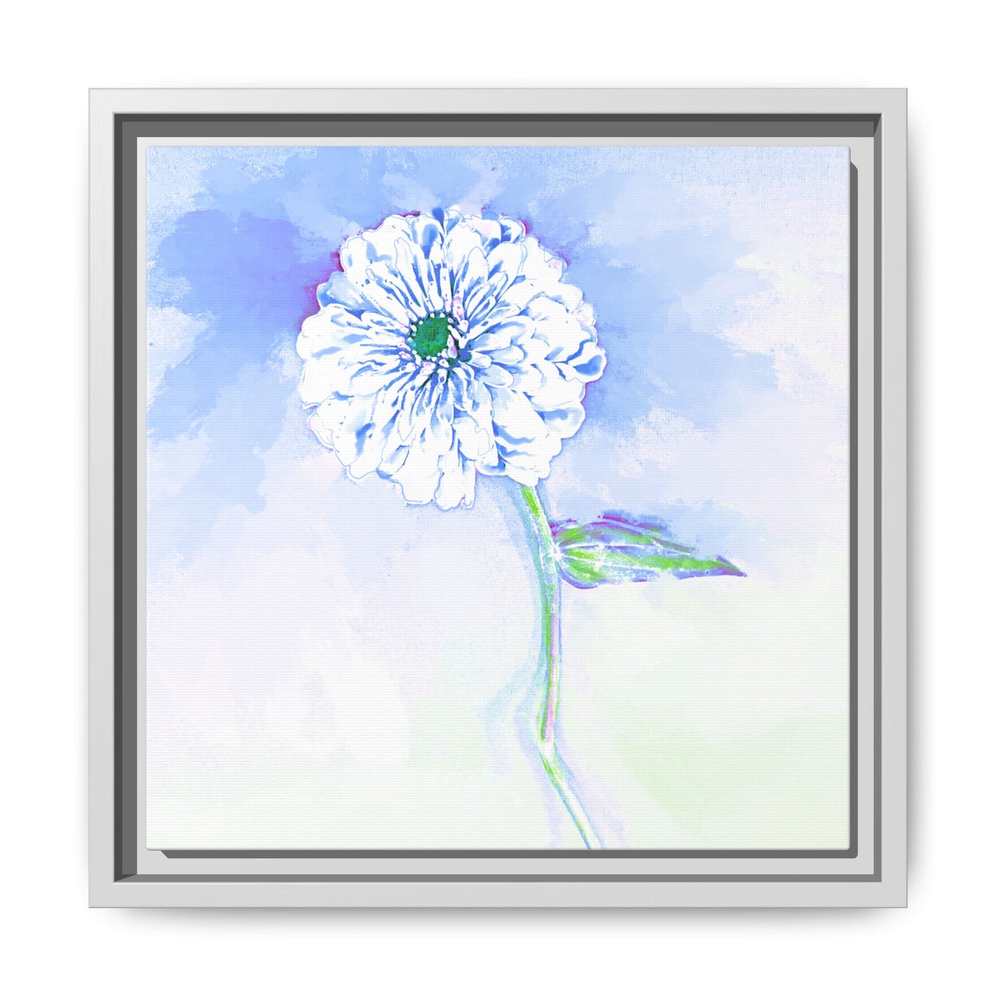 Zinnia Color Splash Matte Canvas Soft Blue Framed
