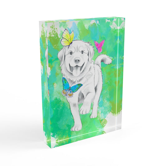 Dogi Flutter Acrylic Block