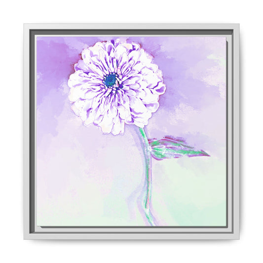 Zinnia Color Splash Matte Canvas Light Purple Framed