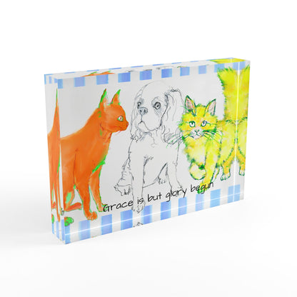 *Colorful Cats & Dogs Acrylic Art Block in Orange and Yellow "Grace is but glory begun"