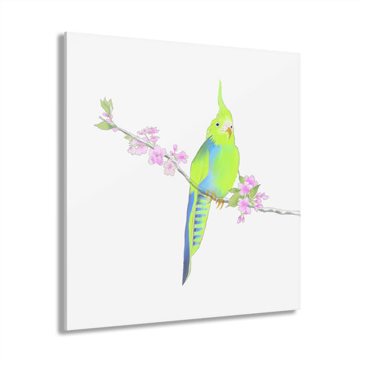 Jolly Birds Acrylic Prints (French Cleat Hanging) Green