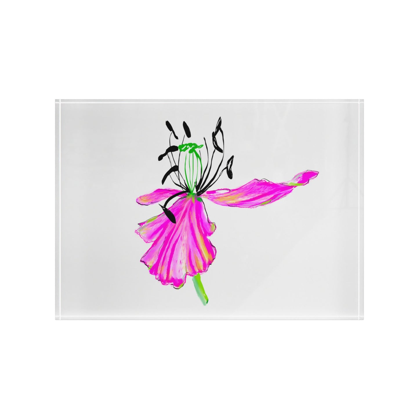 Dancing Tulips Acrylic Art Block Raspberry Pink