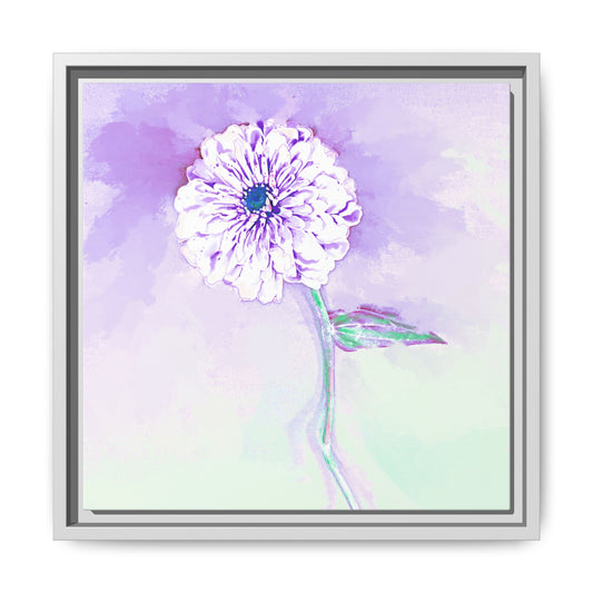 Zinnia Color Splash Matte Canvas Lilac Framed