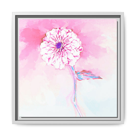 Zinnia Color Splash Matte Canvas Light Pink Framed
