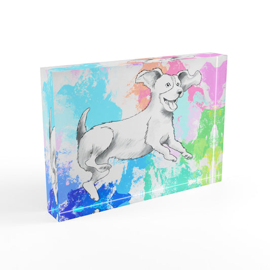 Dogi Fun Acrylic Block