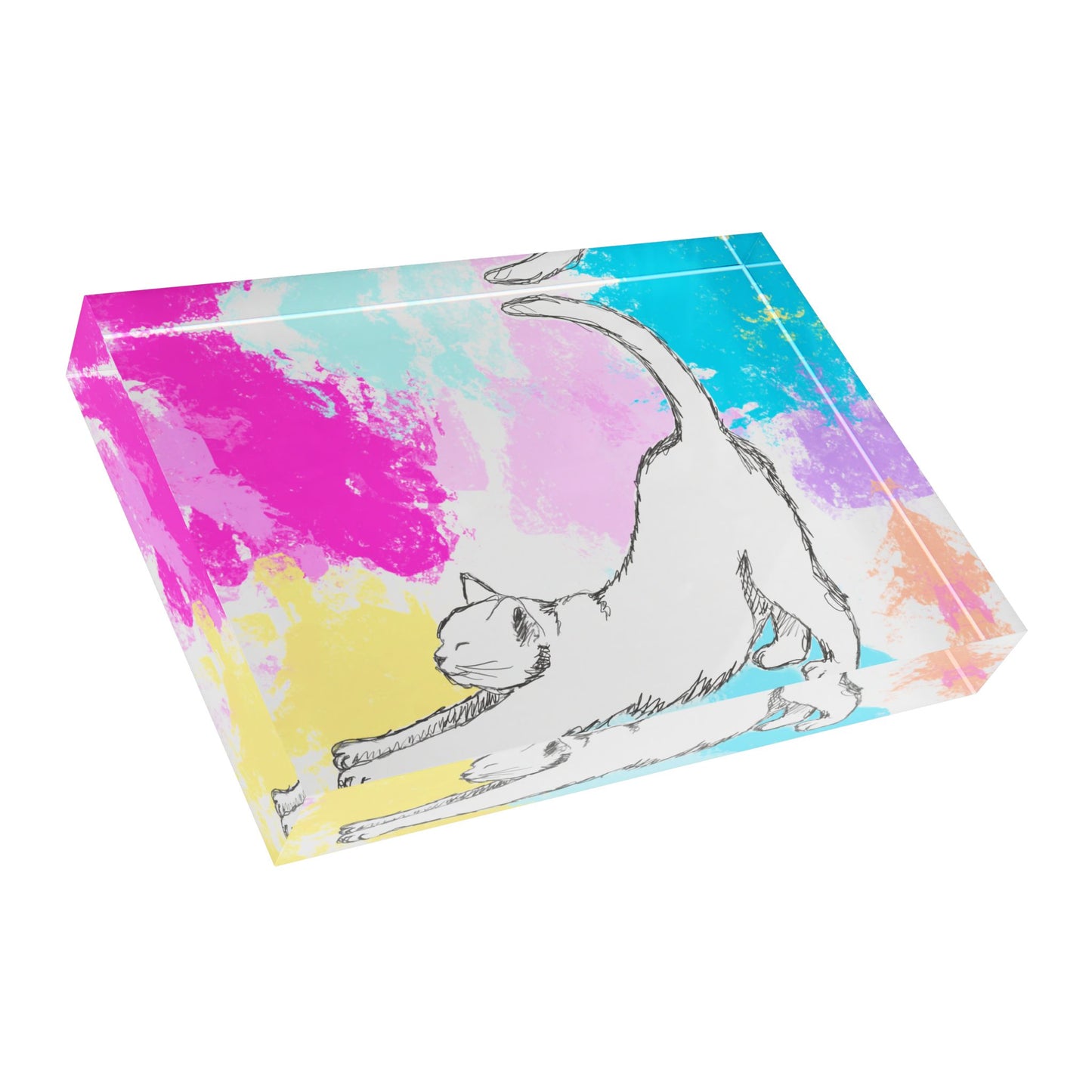 Kitty Fun Acrylic Block