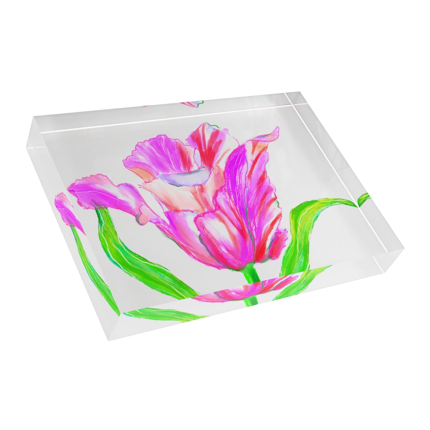 Tulip Love Acrylic Art Block with Raspberry tulip