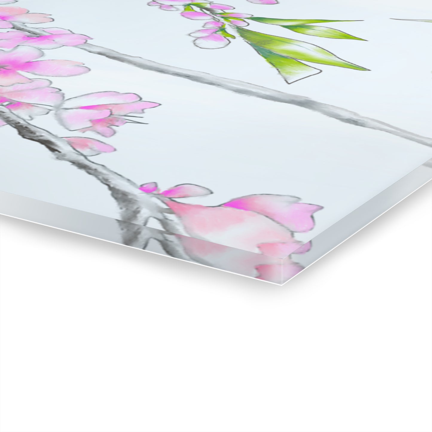 Cherry Blossoms -  Acrylic Prints (French Cleat Hanging)