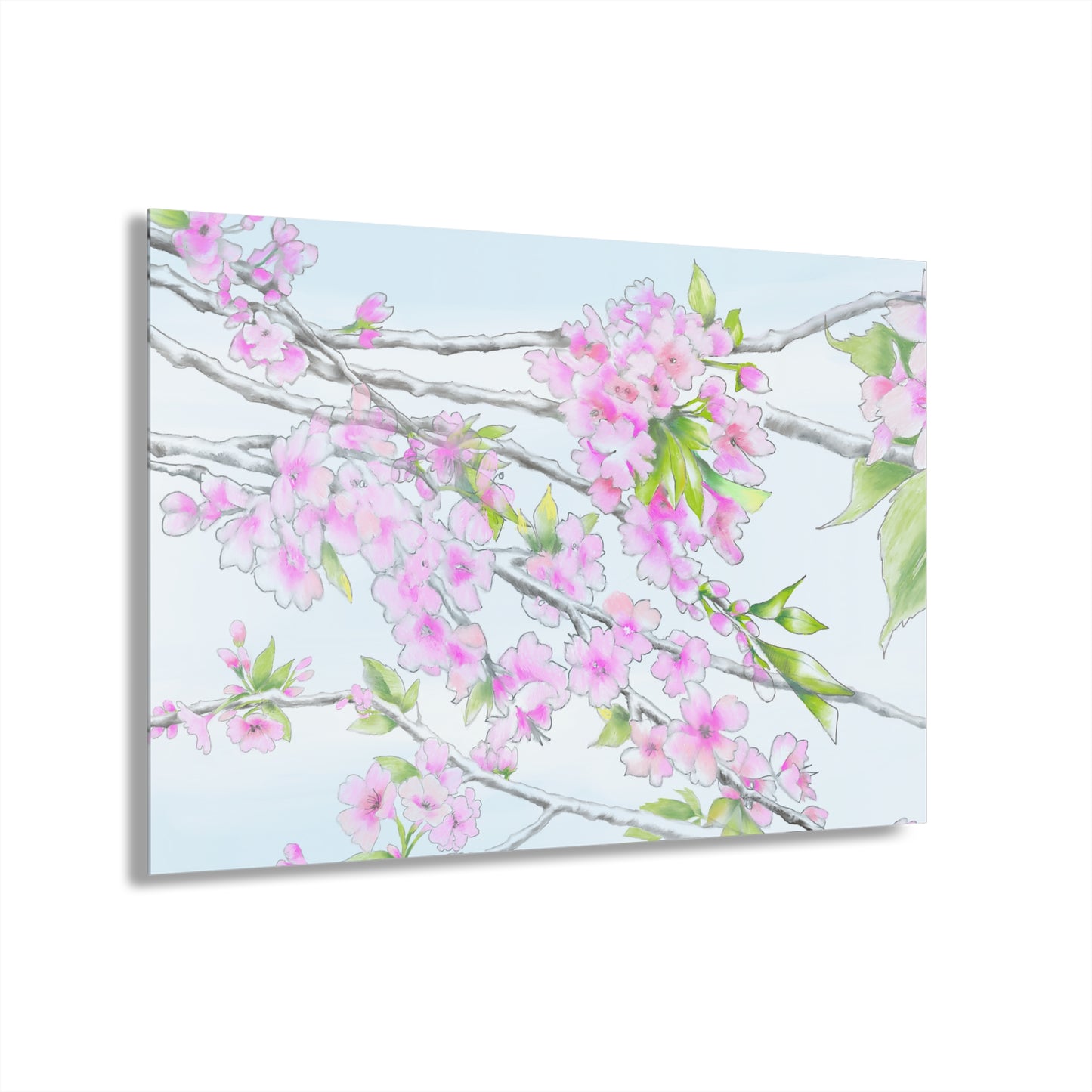 Cherry Blossoms -  Acrylic Prints (French Cleat Hanging)