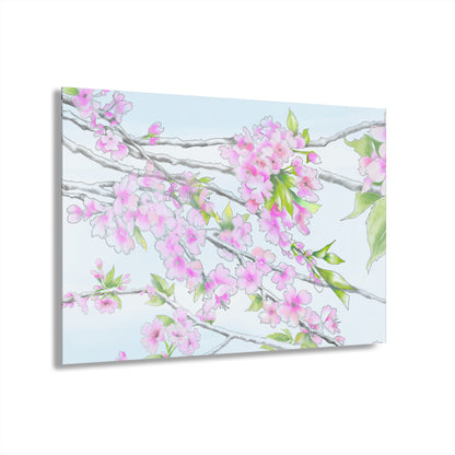 Cherry Blossoms -  Acrylic Prints (French Cleat Hanging)