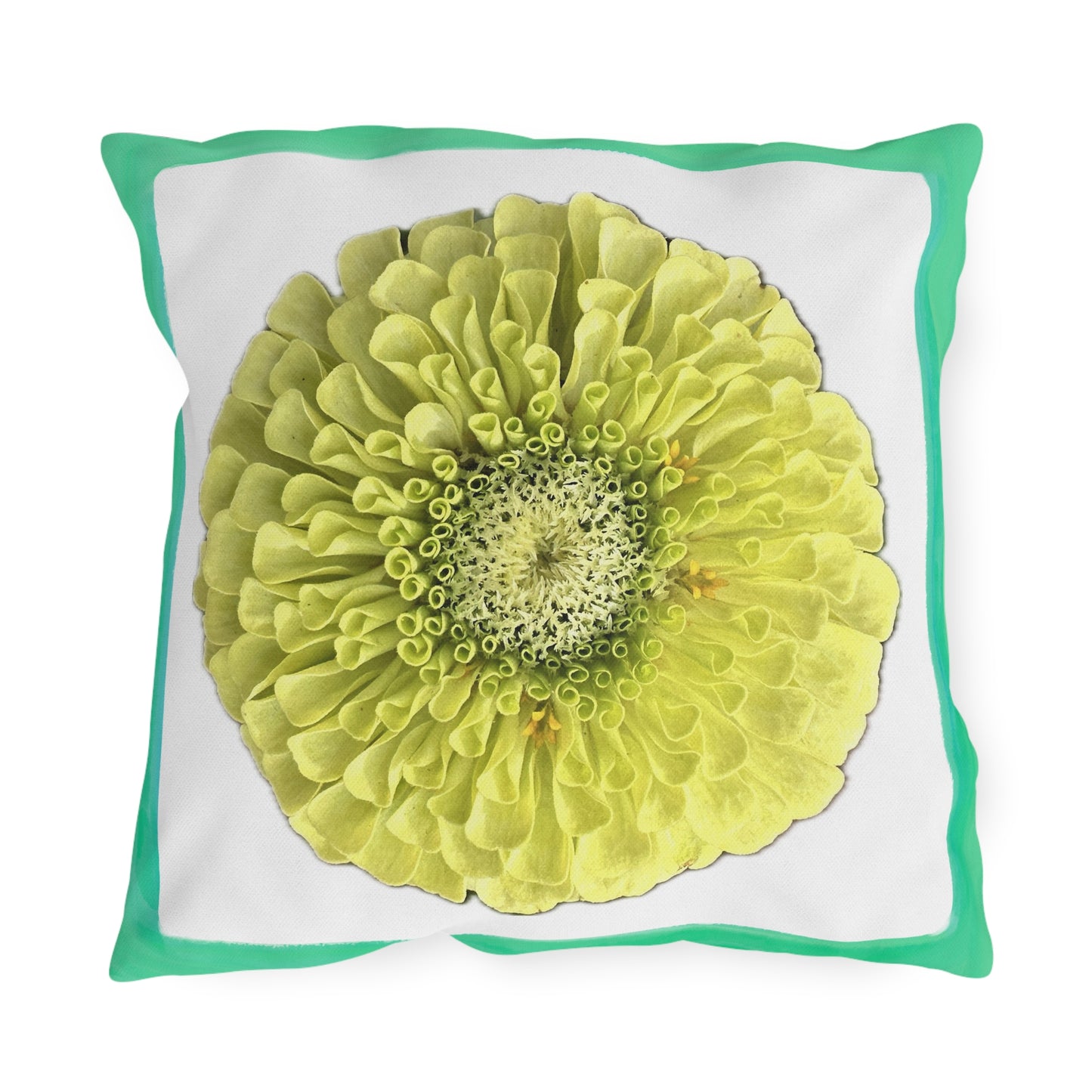 Zinnia Outdoor Pillows