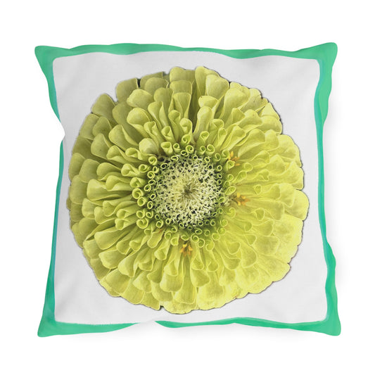 Zinnia Outdoor Pillows
