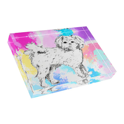 Dogi Fun Acrylic Block